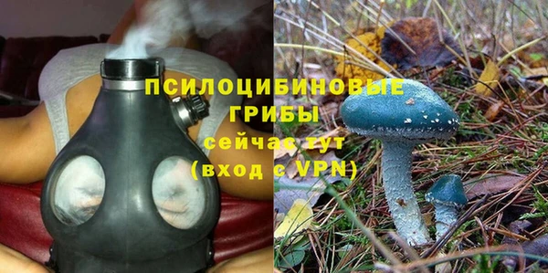 МДПВ Киреевск