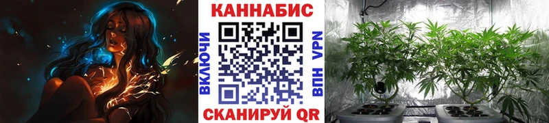 Бошки марихуана марихуана  Купить закладки  Зуевка 